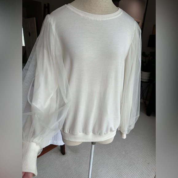 Harlowe & Graham Cream top with sheer organdy sleeves, size large - Picture 3 of 13